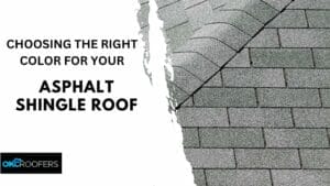 Asphalt Shingle Roof