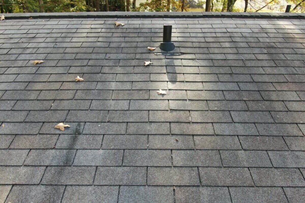 How to Repair Granular Loss on Roof – Pro Tips Inside
