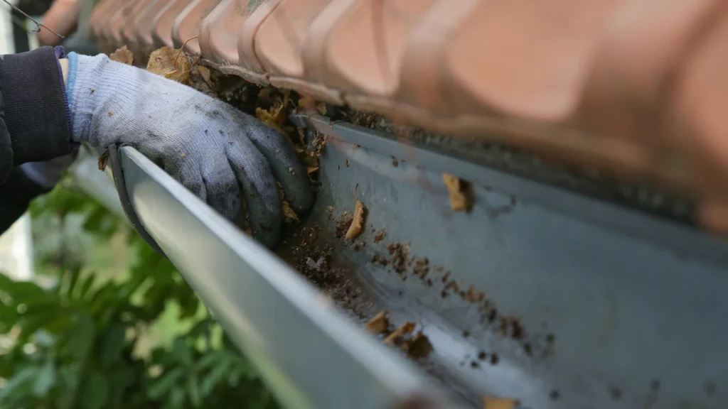 How Gutters Prevent Mould Growth