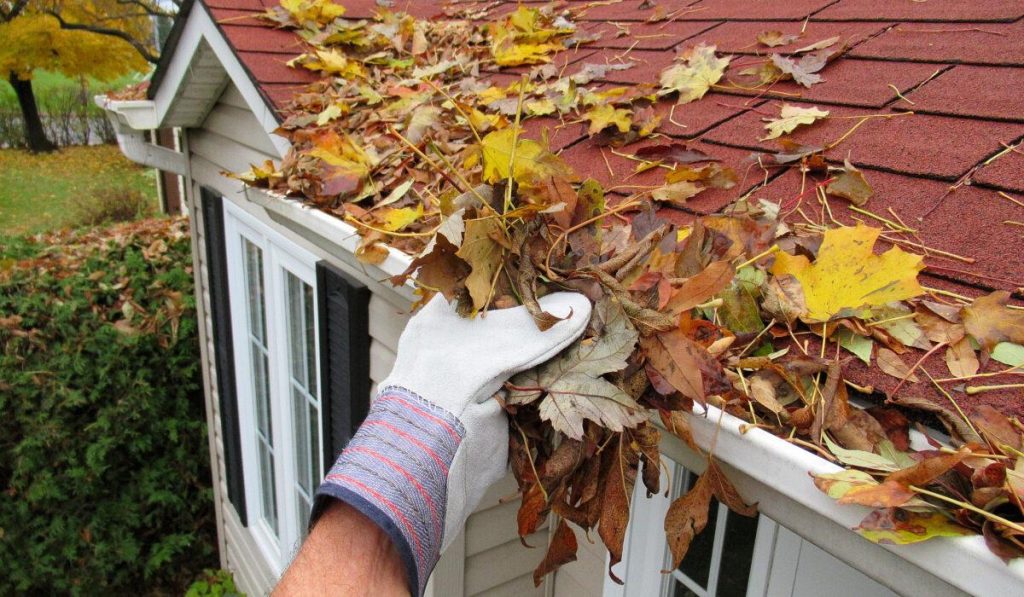When to Clean Your Gutters