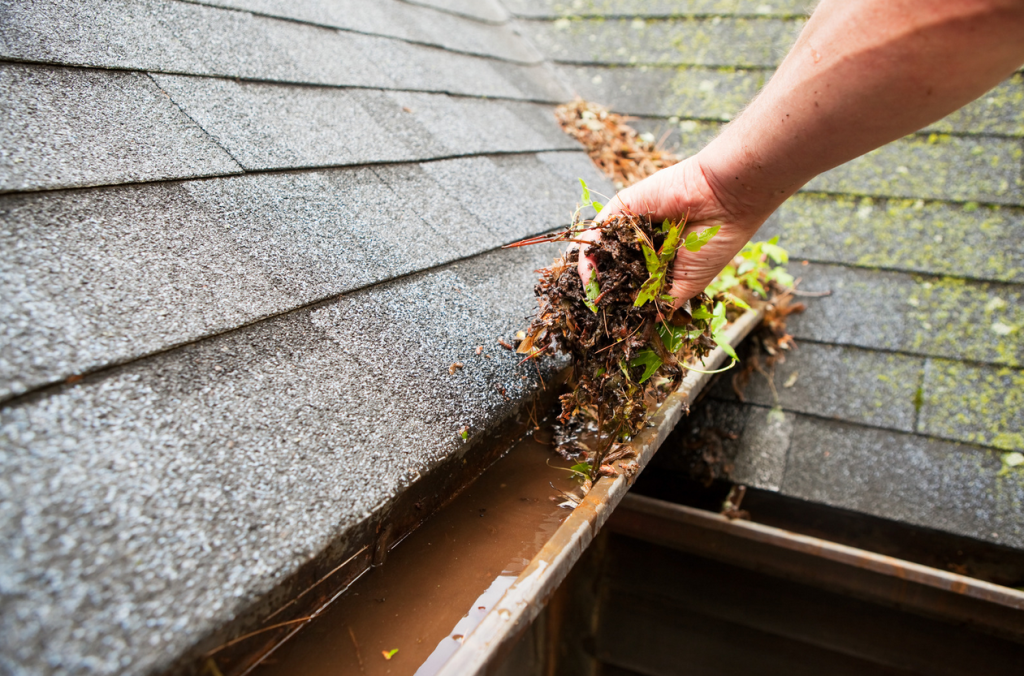 Why Is Gutter Cleaning Important