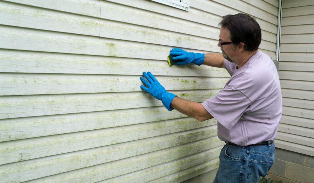 Paint Vinyl Siding