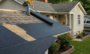 3 Types of Shingles