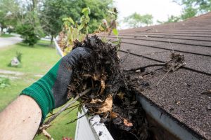 Gutters Roof Replacement