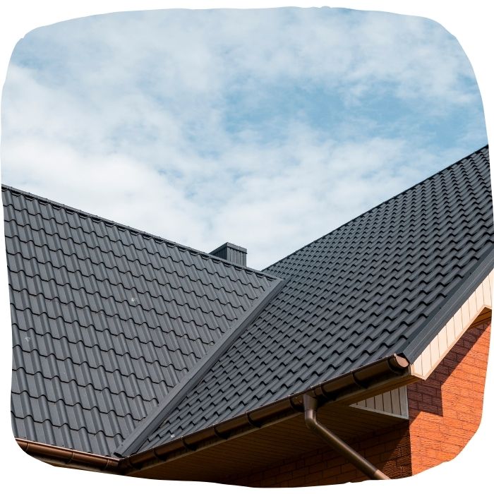 Untitled design 2025 12 03T154649.249